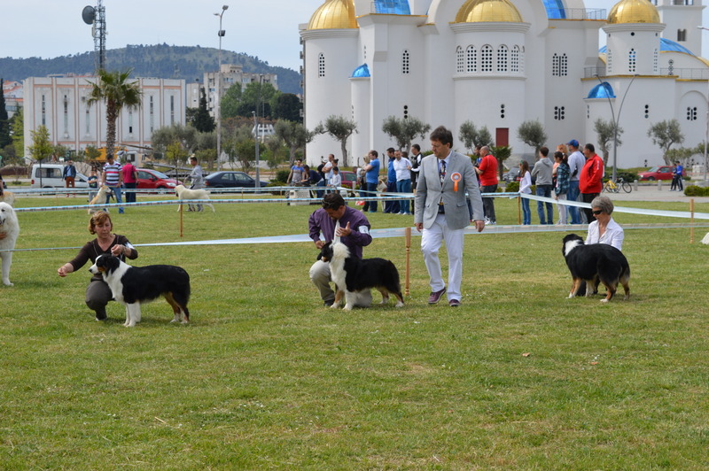 CACIB Montenegro 2015